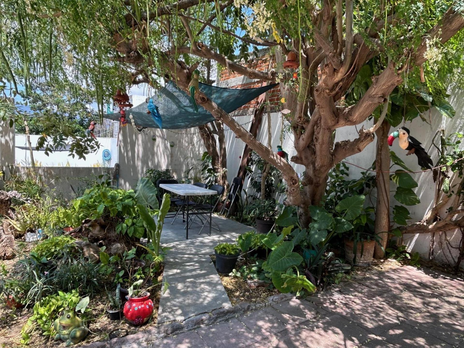 Hotel Villa Esmeralda Tuxtla Gutiérrez エクステリア 写真